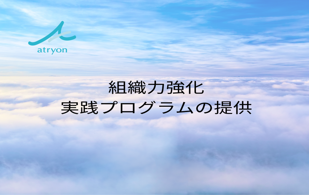 組織力強化実践プログラムの提供